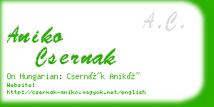 aniko csernak business card